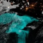fenómeno mar luminoso