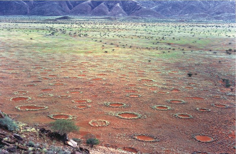 círculos en el desierto de Namibia