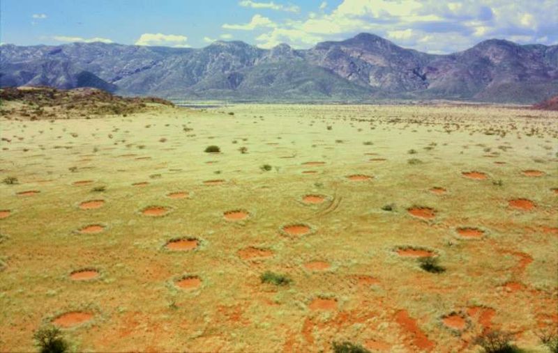 círculos en el desierto de Namibia