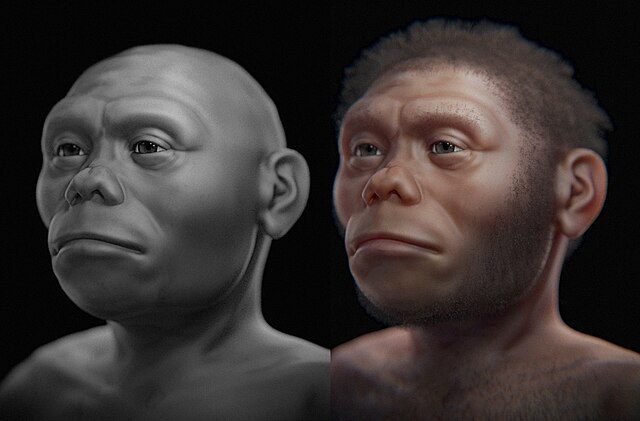 Homo floresiensis