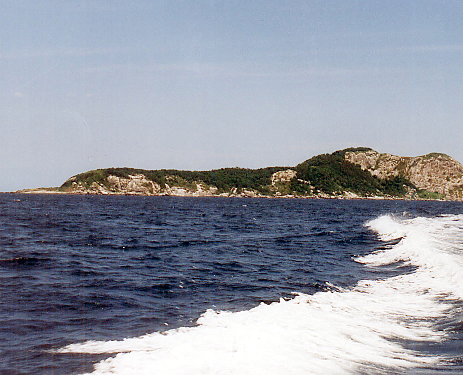 Isla de las cobras