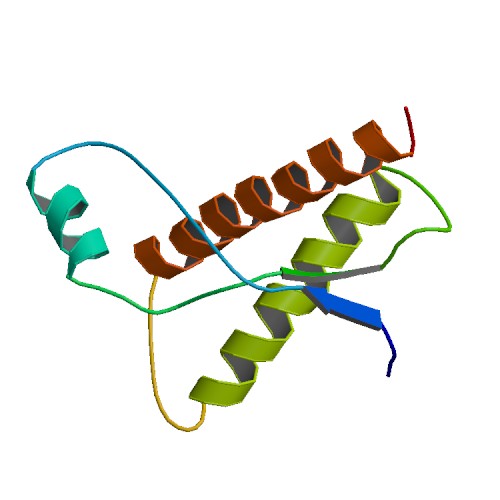 Estructura de priones