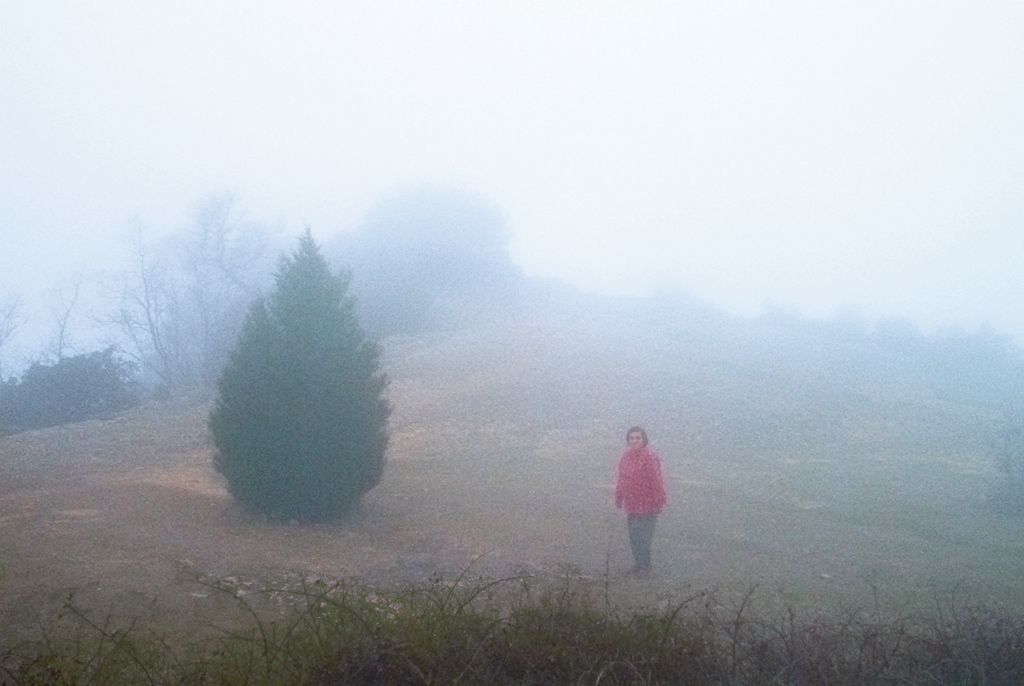 Neblina en la Mussara