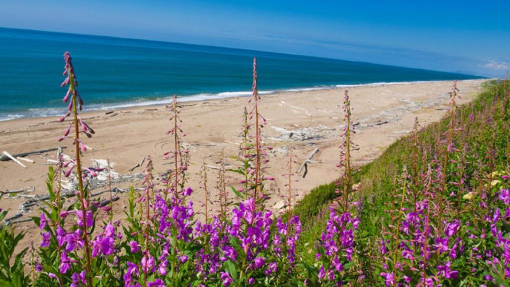 Gran playa del norte en Alaska