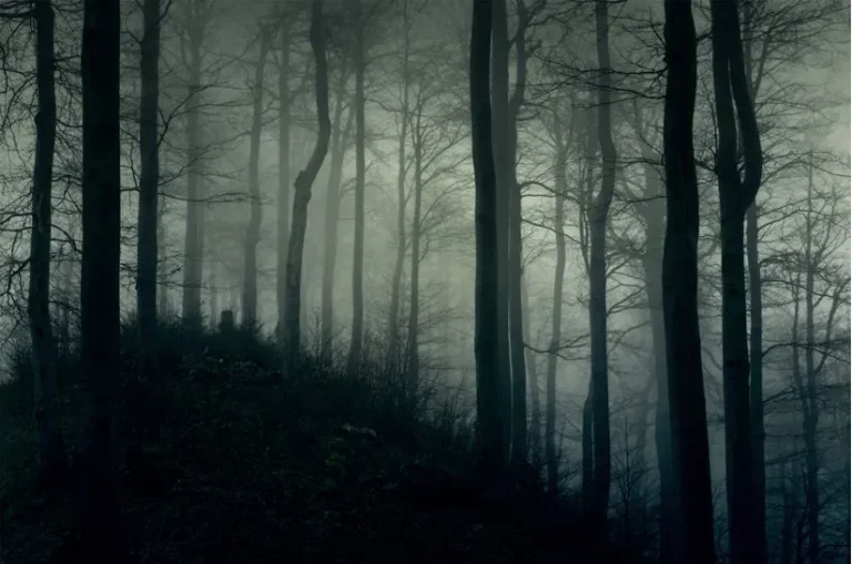 bosque oscuro