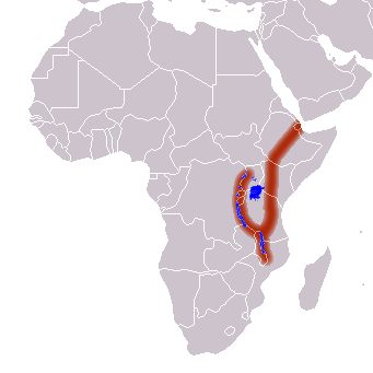 La gran grieta en África