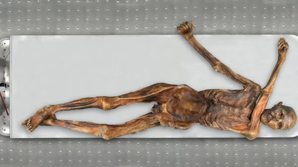 la momia de Ötzi