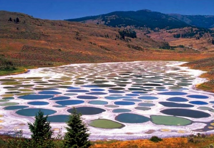 lago manchado