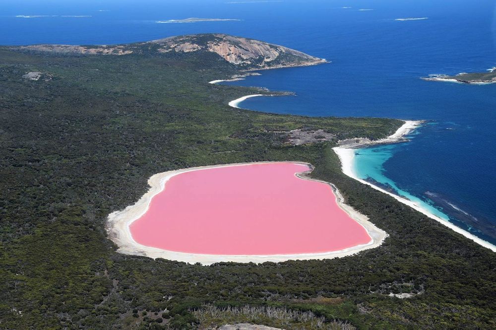 Lago hillier